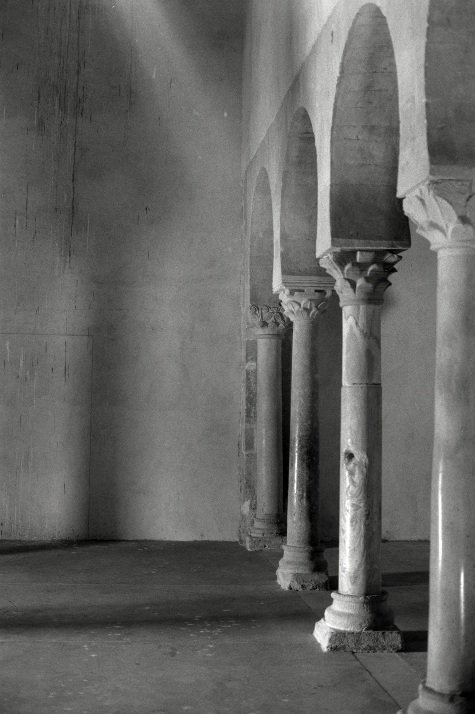 AHP F1995 05 010 sc240826 img10 NLP